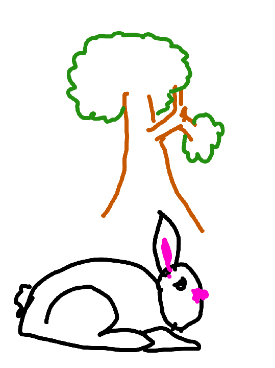 Rabbit
