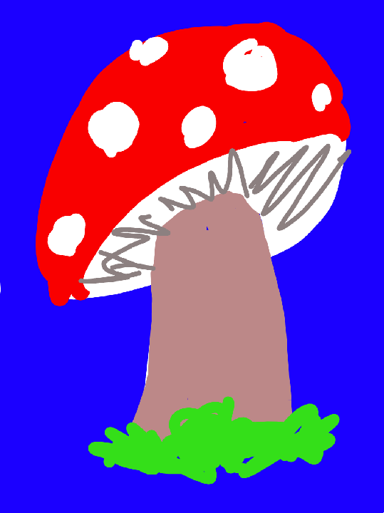 Mushroom