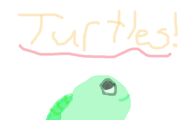 Turtles!