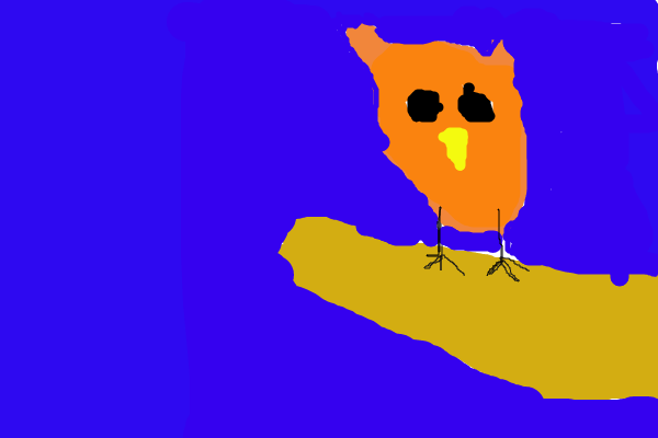 Owl