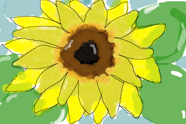 sunflower