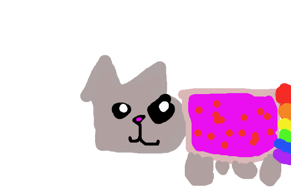 poptartcat